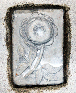 Medieval rose in the vestry February 2010